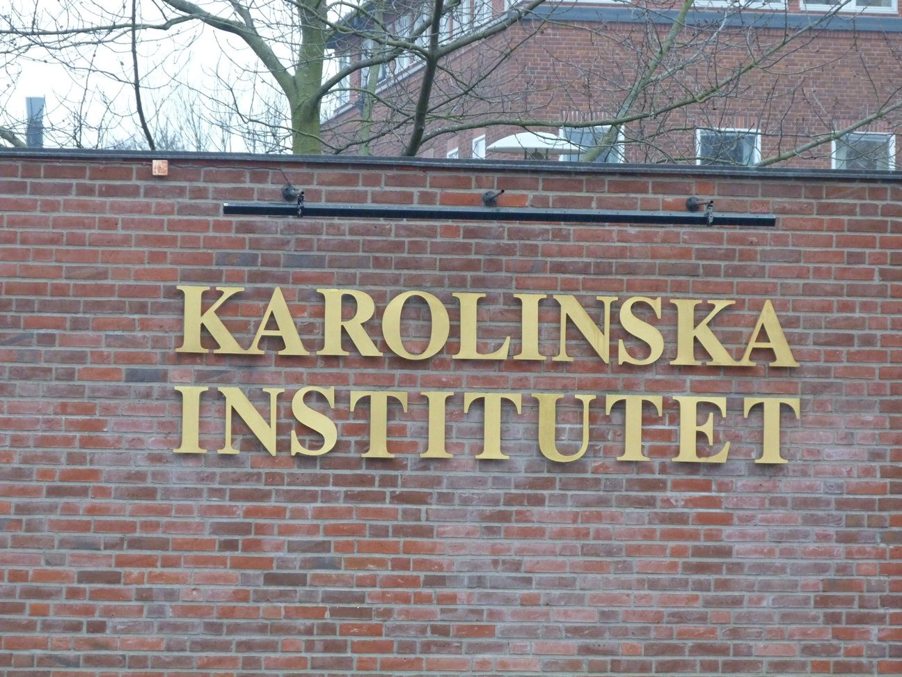 Karolinska%20Institutet%20Solna%20Campus%2C%20Stockholm%20-%2002.JPG